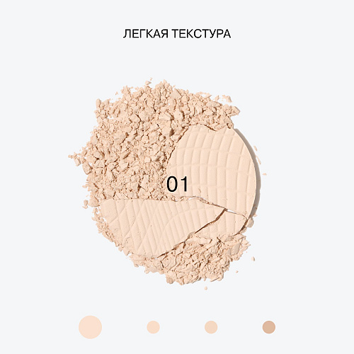 Компактная пудра Skinvisible Carcass