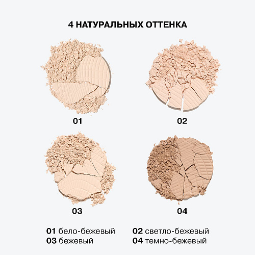 Компактная пудра Skinvisible Carcass